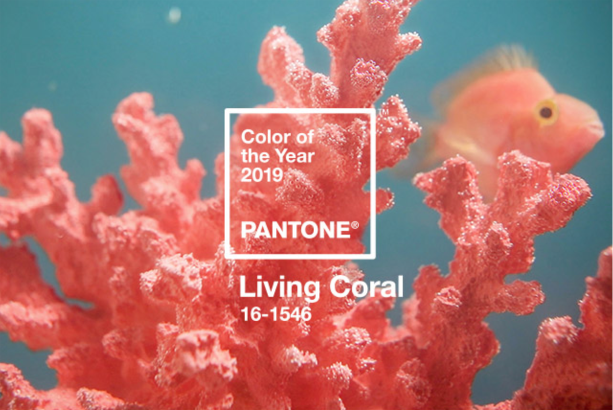 living coral ecco il colore must have del 2019 - Ragazzamoderna.it